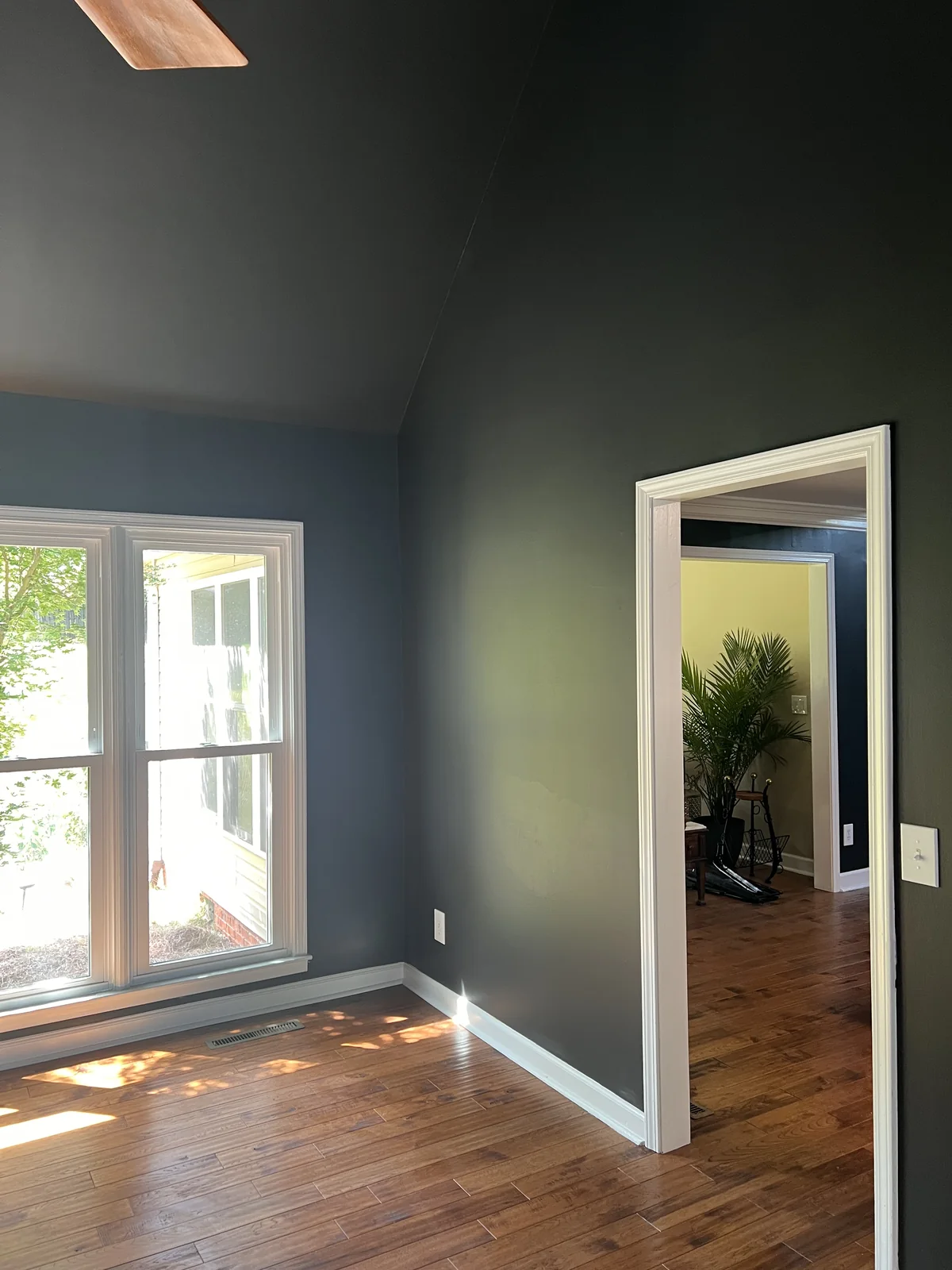 Charcoal painted walls and white doorway beside a sunlit window